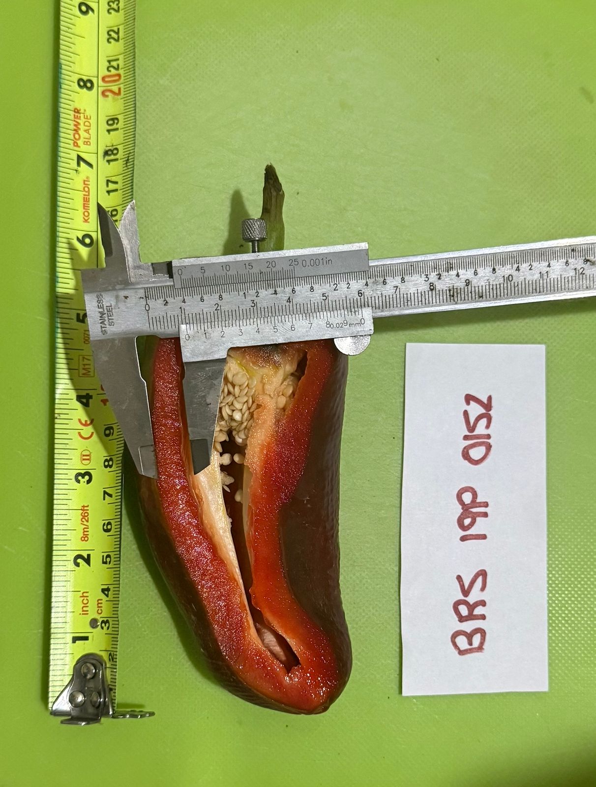 BRS-0152 — Sección transversal con vernier