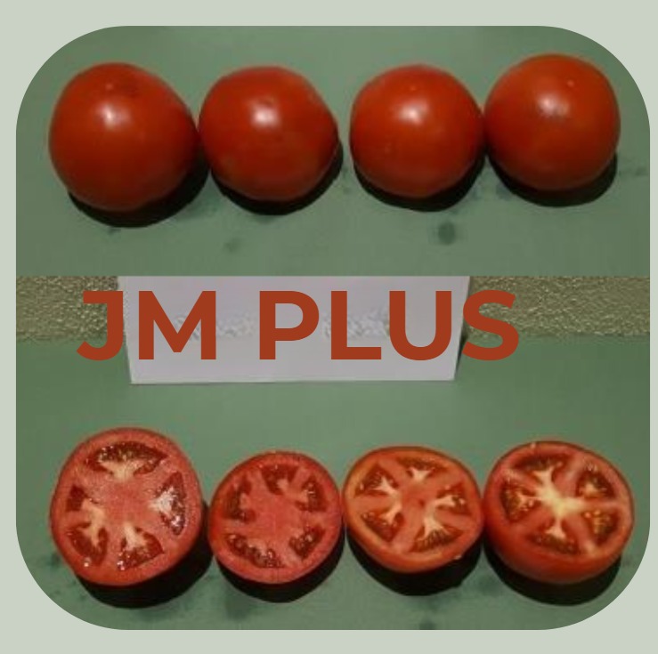 JM PLUS — JM PLUS  3 3
