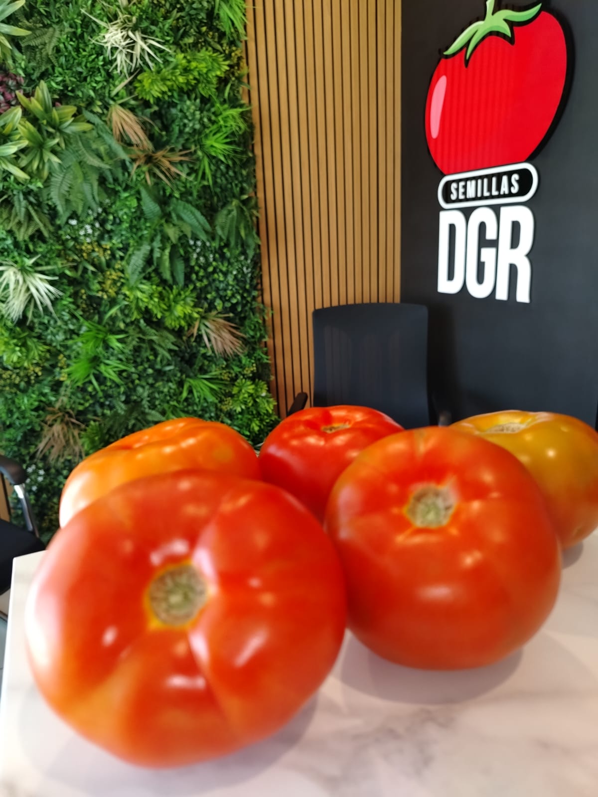 SDGR 21 — sdgr21 0