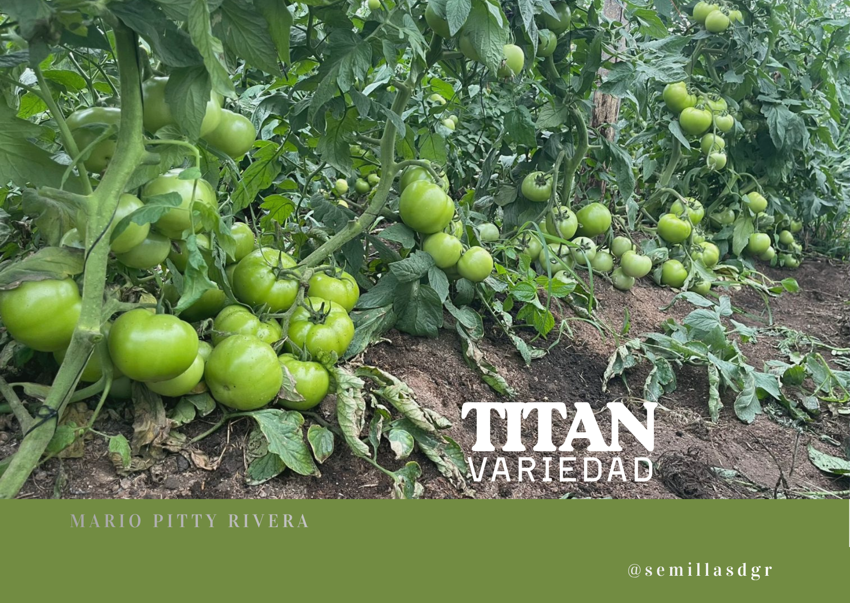TITAN — Verde Fondo de Foto Bienvenidos Tarjeta